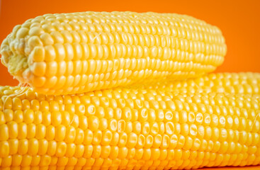 Corn cob on orange background