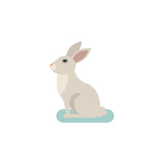 Bunny on white background. Vector flat illustration.