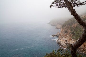 Spanish steep coast over the sea in the morning fog