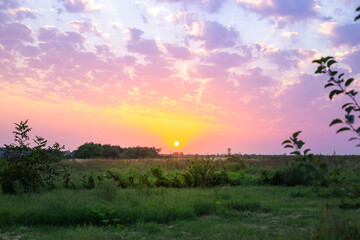 Fototapeta na wymiar Rural landscape. Green field at sunset with beautiful lilac clouds