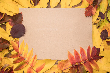 Naklejka na ściany i meble Hello October. Autumn composition top view on autumn bright colorful leaves with paper sheet and place for text.
