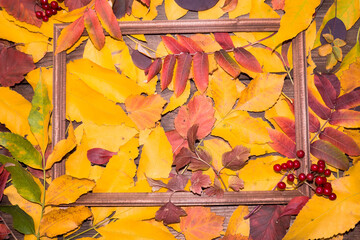 Autumn leaf composition with picture frame. Copy space.