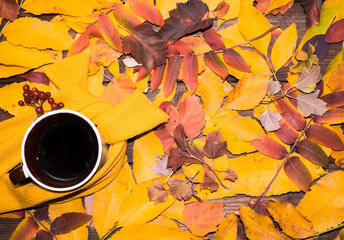 Autumn, fall leaves, a hot steaming cup of coffee and a warm scarf against a background of bright leaves. Seasonal, morning coffee, sunday relaxation and still life concept.