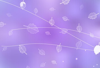 Light Purple vector doodle layout with trees, branches.