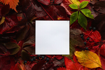Naklejka na ściany i meble Blank sheet of paper and autumn colorful leaves on wooden background close-up. Mock up. Template for design, greeting card or invitation, copy space. Natural style. Top view, flat lay