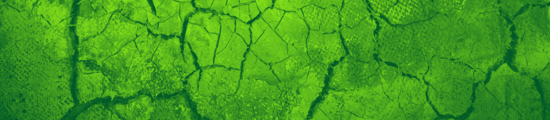 abstract green bright color background for design