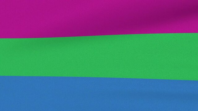 Loop der wehend Fahne von Polysexuality Pride im Wind als Nahaufnahme