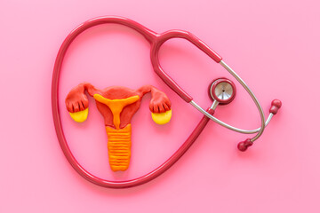 Women health care concept with female uterus and stethoscope