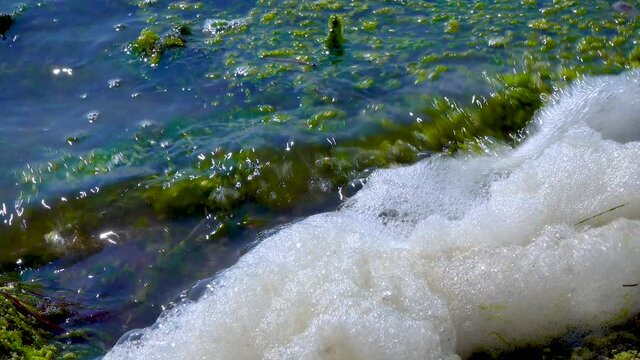 Environmental problem and pollution, eutrophication of a natural reservoir, dirty foam on the shore