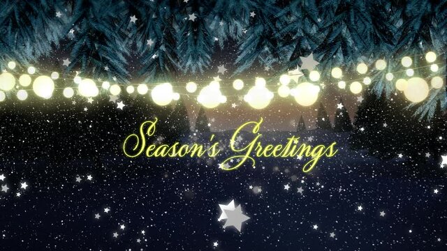 Animation of season's greetings with christmas fairy lights and snow falling over winter landscape
