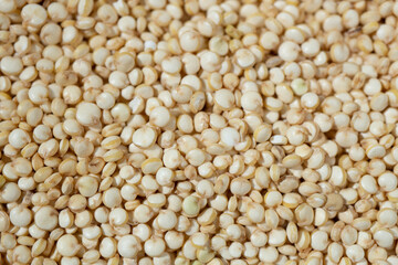 キヌア（西: Quínua、ケチュア語：kinwa または kinuwa、学名：Chenopodium quinoa）、栄養素の高い雑穀