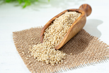 ヒエ（稗、学名： Echinochloa esculenta）、日本古来の雑穀、栄養素が高い、寒冷地で育つ