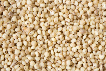 ヒエ（稗、学名： Echinochloa esculenta）、日本古来の雑穀、栄養素が高い、寒冷地で育つ