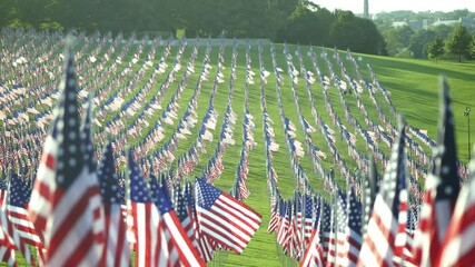 Field of United States flags commemorating Memorial Day waving in breeze.