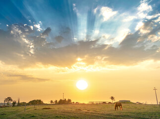 Naklejka na ściany i meble Beautiful Sunset, silhouette of a horse