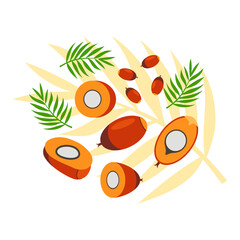 Palm seed and leaves elements abstract vector design background