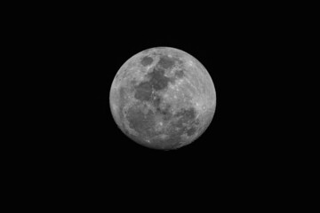 Obraz na płótnie Canvas Ninety Eight Percent Full Moon in monochrome