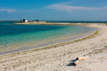 Playa Isla la Tortuga