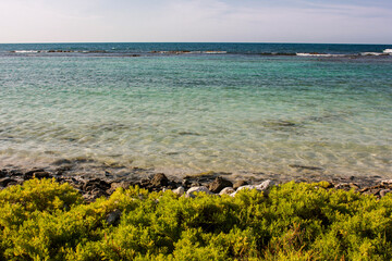 Colores en la Isla