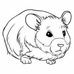 hamster sketch vector illustration