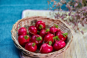 organic raw red Radishes in wicker basket