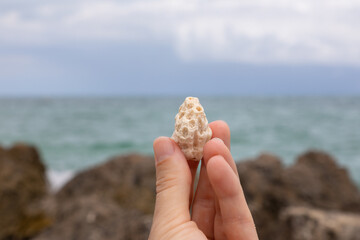 Coral in a hand by the sea