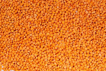 Masoor dal with white background