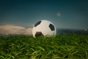 BALON DE FOOTBALL EN EL CESPED © Forhanx