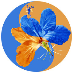 Floral symbol Yin-Yang. Hibiscus. Geometric pattern of Yin-Yang symbol, from plants on colored background in Oriental style. Yin Yang symbol from flowers, petals. Flower illustration of mandala.