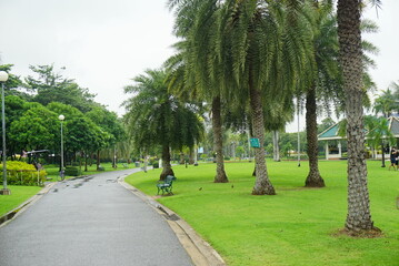 walkway in the park