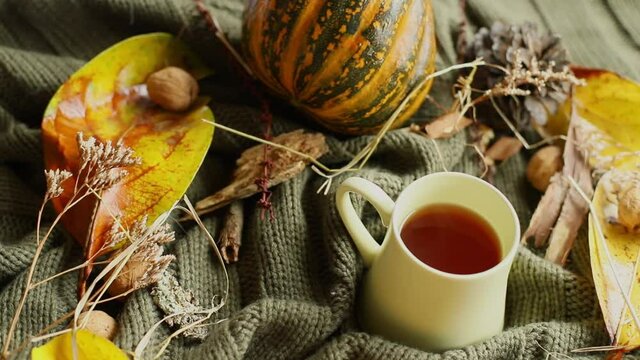 autumn background with leaves, dried grass, pumpkin, walnuts and tea mug on knitted blanket, fall mood, hello autumn concept. 