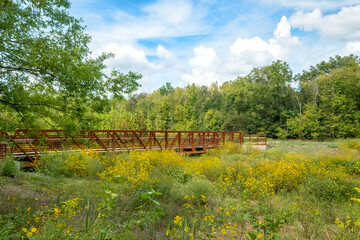 Bridge Over Torrence Creek, Torrence Creek Greenway, Huntersville, North Carolina