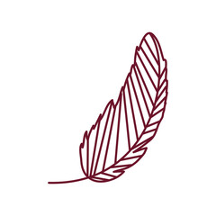 feather decoration icon