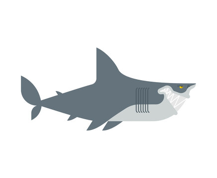 Killer shark isolated. Sea predator. Big fish monster. vector illustration
