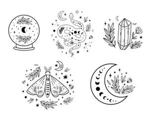 Celestial logo set. Floral moon circle logo moon logo. Moon phase, floral crystal, serpent, snake, moth, butterfly, crystal ball, stars occult collection. Celestial crescent. Magic illustration.