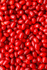 Background of ripe dogwood