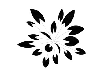 black and white flower