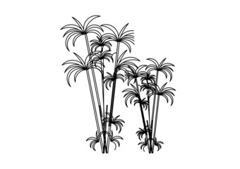 Young coconut tree sketch vector design