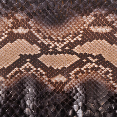 Natural snake skin is used for luxury clothes and accessories