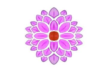Obraz premium Pink flower