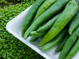 신선한 유기농 채소 녹색 고추 배경 
