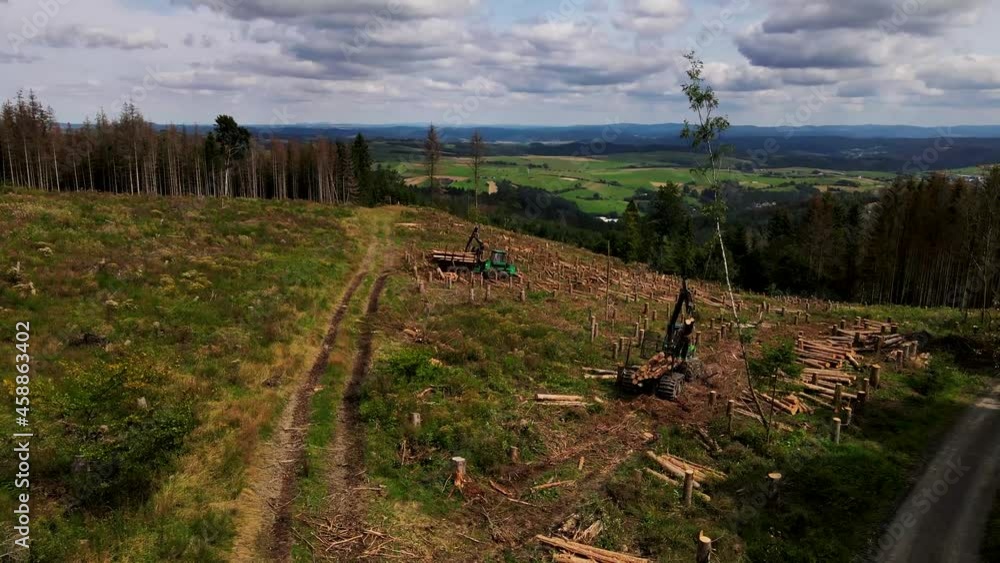 Poster timber loading, loading logs into a truck, timber processing, deforestation, timber loading with a c