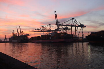 Fototapeta na wymiar Cranes at Maasvlakte Container terminal during sunset
