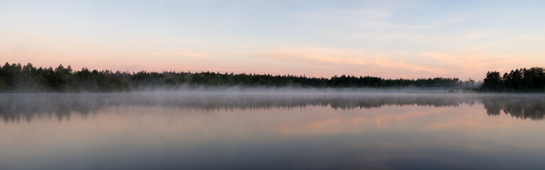 panorama of a forest lake