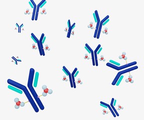 The antibody  with drug conjugated cytotoxic payload for drug carrier or delivery