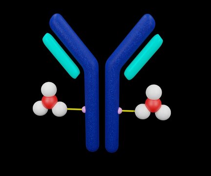 The Antibody  With Drug Conjugated Cytotoxic Payload For Drug Carrier Or Delivery