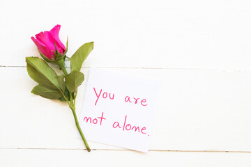 you are not alone message card handwring with pink rose flowers arrangement flat lay postcard style on background white 