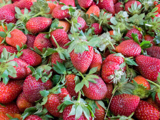 Fresh strawberries displayed on fruit stall in market