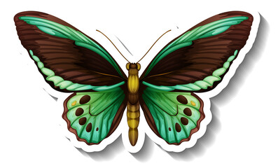 A sticker template with butterfly or moth isolated