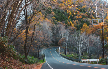 Fototapeta premium Path through the autumn forest